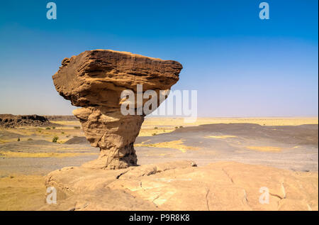 Rock formation au désert du Sahara, près de la région de Tchirozerine près d'Agadez, Niger Banque D'Images