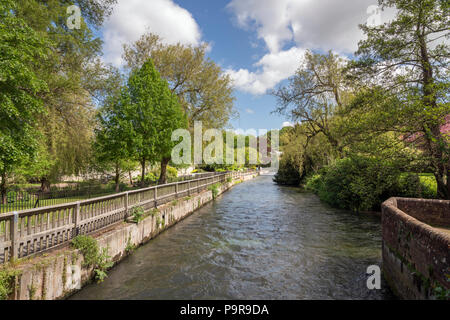 L'Itchen River comme il s'écoule par Winchester, Hampshire, Angleterre, dans une région appelée les barrages. Sur la gauche est partie de l'ancien mur de la ville. Banque D'Images