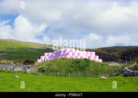 Enveloppé rose hay bales in Wales UK Banque D'Images