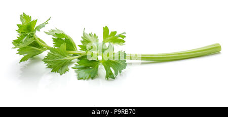 Close-up un bâton de céleri frais avec des feuilles isolées sur fond blanc Banque D'Images