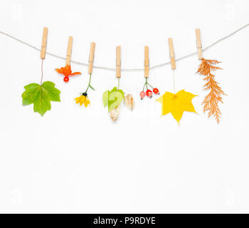 Composition d'automne. Fleur d'automne, feuilles d'érable et baies d'églantier, cônes de houblon, de physalis sur fond blanc. Mise à plat, vue du dessus, copy space Banque D'Images