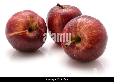 Trois pommes Gala isolé sur fond blanc Banque D'Images