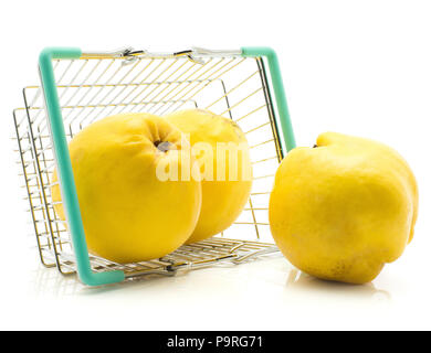 Trois coing jaune dans un panier d'isolé sur fond blanc frais crus Banque D'Images