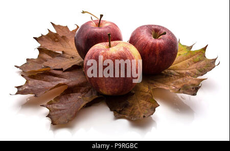 Ensemble de trois feuilles d'érable sur les pommes Gala isolé sur fond blanc composition d'automne Banque D'Images