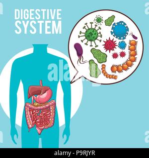 Système digestif organes humains vector illustration graphic design Illustration de Vecteur