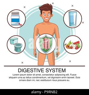 Système digestif poster des informations vector illustration graphic design Illustration de Vecteur
