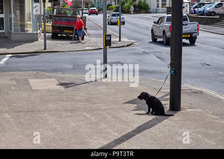 Un petit chien noir attaché à un lampost en dehors d'une boutique dans le plein soleil et incapable de se coucher, à Douglas (île de Man) Banque D'Images