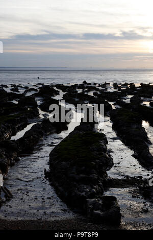 Vue sur Kilnsea à l'estuaire de la Humber, argiles, Yorkshire, Angleterre, Royaume-Uni Banque D'Images