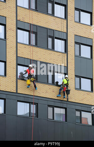 Deux laveurs de vitres de la descente en rappel d'utilisation de cordes pour accéder à Windows sur une nouvelle forme de tour dans le centre-ville de Portsmouth, Hampshire, Royaume-Uni Banque D'Images