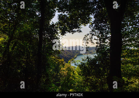 Vue sur le lac d'Albano parmi les branches des arbres, zone touristique de la région des Châteaux Romains, Rome Italie Banque D'Images