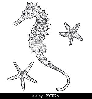 Cheval de mer, coquillages, motif, Coloring Book, page, vector Illustration de Vecteur