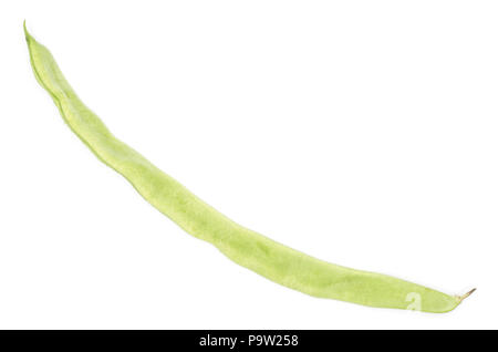 Un plat de haricot vert Vue de dessus isolé sur fond blanc Banque D'Images