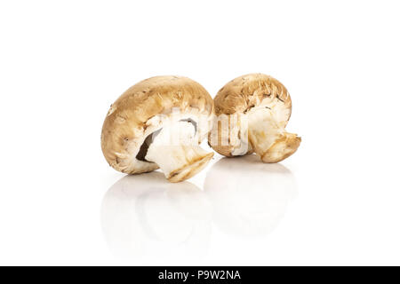 Deux champignons bruns frais dans la rangée isolé sur fond blanc champignons crus Banque D'Images