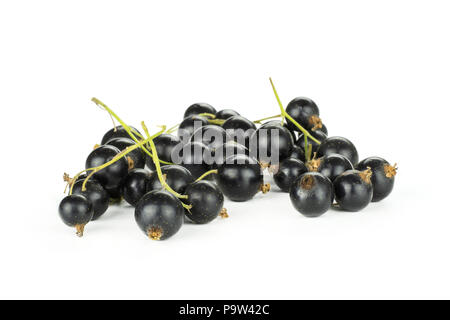 Beaucoup de cassis frais entier ben berry variété gairn heap isolated on white Banque D'Images
