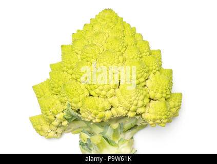 Un chou-fleur Romanesco la moitié vert isolé sur fond blanc Vue de dessus Banque D'Images