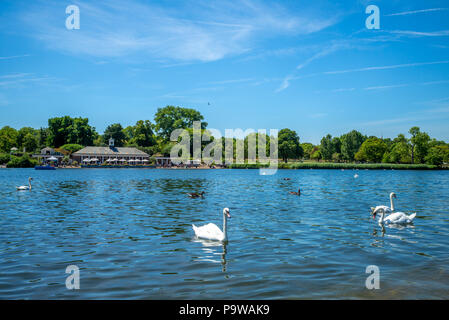 Paysage du lac Swan, dans Hyde Park, Londres, UK Banque D'Images