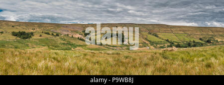 North Pennines, le paysage panoramique de l'AONB Hudes espère Valley et Lodge Syke reste, mine de plomb, de Teesdale UK Banque D'Images