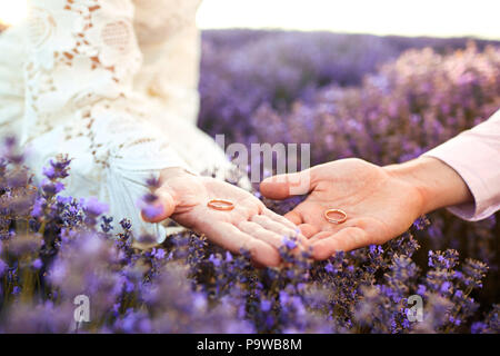 Les anneaux de mariage sur les mains dans le champ de lavande. Banque D'Images
