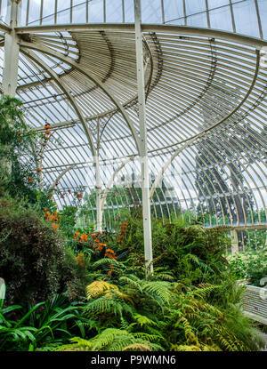 Les émissions de 1849, également appelée plage curviligne, le Jardin botanique, l'architecte Richard Turner, vue de l'intérieur, Dublin, Irlande Banque D'Images