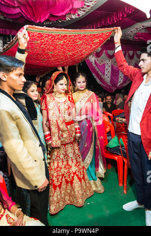 Un mariage traditionnel dans un petit village de la province indienne. Indie juin 2018. Les groommen apportent la mariée au marié. Banque D'Images