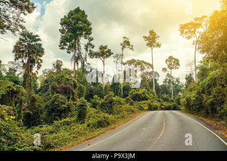 Traversée de la route et la jungle Parc national Khao Yai. La Thaïlande. Banque D'Images