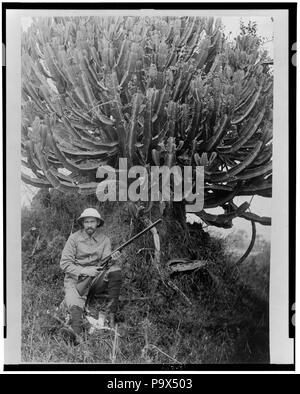 . Anglais : Titre : l'Afrique, l'arbre à caoutchouc Résumé : Un homme, peut-être Homer L. Shantz, portrait en pied, tenant un fusil, assis sur le sol en face d'une grande usine de caoutchouc. Description physique : 1 tirage photographique. Notes : fait partie de : Frank et Frances Carpenter Collection (Bibliothèque du Congrès). Entre 1915 et 1923 103 Afrique, arbre à caoutchouc RCAC2002706887 Banque D'Images