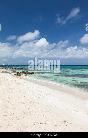 Plage d'Arashi - une plage de sable blanc idyllique sur l'île des Caraïbes d'Aruba, dans les Caraïbes Banque D'Images
