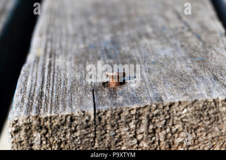 Vieux clou métal martelée dans une planche en bois, close-up photo Banque D'Images