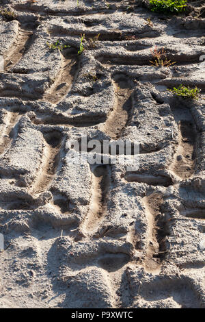 De sol labouré le domaine agricole sur lequel un tracteur lourd et a laissé des traces, un gros plan Banque D'Images