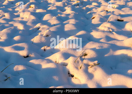 Allumé en jaune et orange, la lumière du soleil couchant ondée d'amoncellements de neige en hiver, libre dans la forêt Banque D'Images