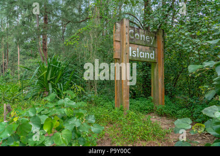 Singapour - 15 juillet 2018 : Inscrivez-vous dans la jungle. Coney Island, autrement connu sous le nom de Pulau Serangoon, est une île de 133 hectares situé au nord-est Banque D'Images