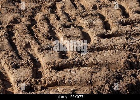 Des traces de tracteur ondulées sur sol labouré brown du domaine agricole, side view Banque D'Images
