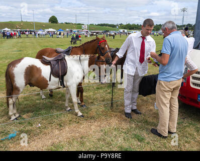 Bovins rural et spectacle de chevaux et de bétail de la concurrence dans l'ouest de Cork, Irlande Banque D'Images