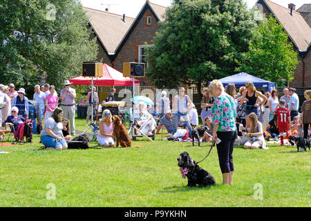 East Preston, West Sussex, UK. Fun dog show tenu le village vert - femme mature montrant son Spaniel. Le chien porte un foulard de cou drapeau Union Banque D'Images