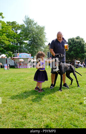 Petite fille se faire des amis avec un grand danois chien à village East Preston dog show Banque D'Images