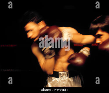 BOXER HOMME années 70 d'être frappé au visage - KS9111 HAR001 HARS PROFESSIONS l'excitation des sports professionnels PERFORÉES CONNECTION DE FLOU DES GANTS DE BOXE MID-ADULT MID-ADULT MAN YOUNG ADULT MAN BLUR ETHNICITÉ CAUCASIEN ethnicité hispanique HAR001 old fashioned Banque D'Images