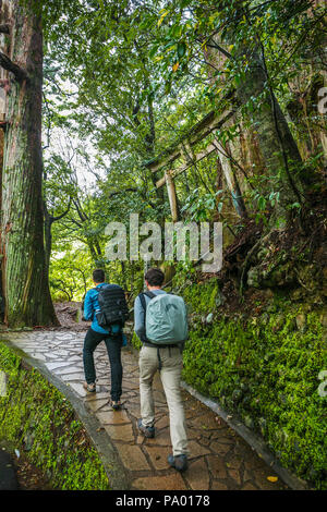Pèlerinage de Kumano Kodo.Tsugizakura Oji. Ancien Sanctuaire avec arbres centenaires. Nakahechi. Wakayama. L'UNESCO. Le Japon Banque D'Images