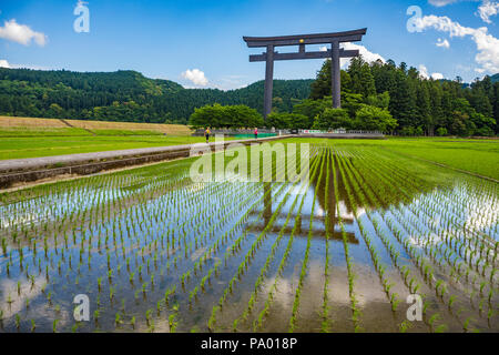 Pèlerinage de Kumano kodo. Otorii. Tori culte porte qui marque l'entrée de Oyunohara. Nakahechi. .Wakayama l'UNESCO. Le Japon Banque D'Images