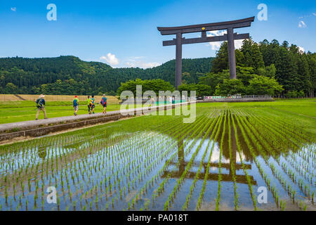 Pèlerinage de Kumano kodo. Otorii. Tori culte porte qui marque l'entrée de Oyunohara. Nakahechi. .Wakayama l'UNESCO. Le Japon Banque D'Images