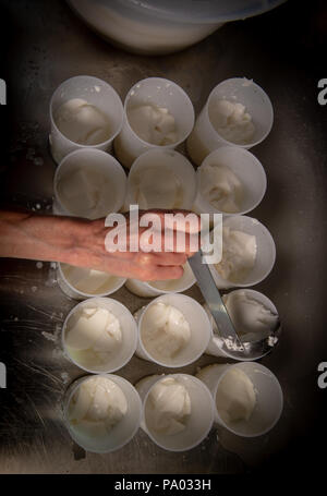 La fabrication du fromage de manière traditionnelle, Gironde, France Banque D'Images