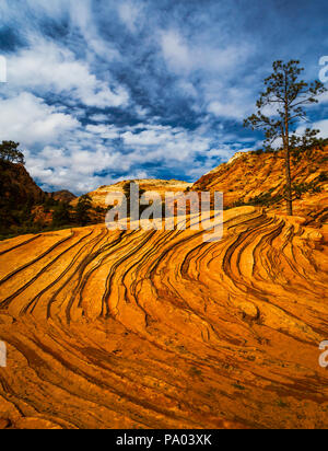 L'été à Zion National Park Utah Banque D'Images