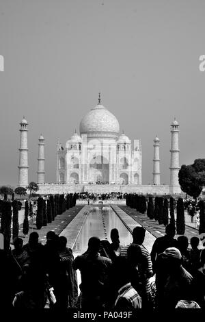 Le Taj Mahal, UNESCO World Heritage Site, Agra, Uttar Pradesh, Inde Banque D'Images