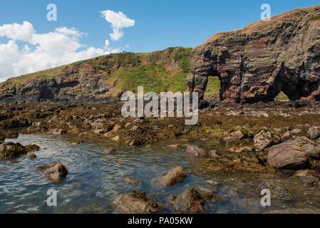 Elephant Rock, au nord de Lunan Bay, près de la ville de Montrose, Angus, Scotland. Banque D'Images