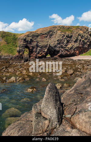 Elephant Rock, au nord de Lunan Bay, près de la ville de Montrose, Angus, Scotland. Banque D'Images