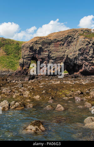 Elephant Rock, au nord de Lunan Bay, près de la ville de Montrose, Angus, Scotland. Banque D'Images