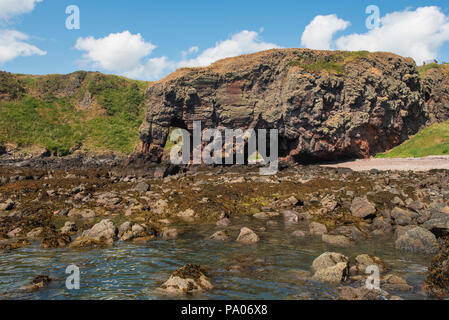 Elephant Rock, au nord de Lunan Bay, près de la ville de Montrose, Angus, Scotland. Banque D'Images