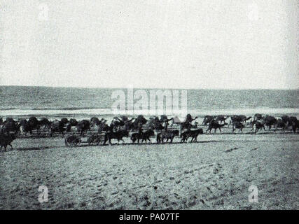 . Anglais : Chameau égyptien transport Transport Corps sur la plage à El Arish au cours de la campagne du Sinaï et de la Palestine de la Première Guerre mondiale . vers 1914-18 605 transports ECTC sur la plage à El Arish au cours de la Première Guerre mondiale Banque D'Images