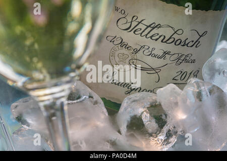 Stellenbosch Afrique du Sud vin blanc Sauvignon blanc bouteille dans un seau glacière avec verre à vin dans une situation de jardin ensoleillée en plein air Banque D'Images