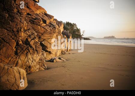 Coucher du soleil jette une lumière dorée sur les roches des cicatrices sur le Tonquin Beach, Tofino, Colombie-Britannique, Canada Banque D'Images