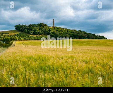 Byres Hill, East Lothian, Ecosse, Royaume-Uni, le 19 juillet 2018. Vue sur le champ de la récolte d'orge dans les zones agricoles rurales sur un paysage d'été ensoleillée le soir pendant la canicule de l'été à la colline vers le monument local Hopetoun Monument, une pierre ronde tower Banque D'Images